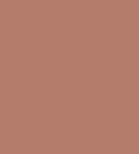 FireShot Capture 368 - #b47d68.png