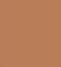FireShot Capture 004.png