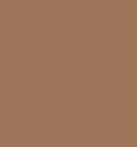 FireShot Capture 297 - #9e745c.png