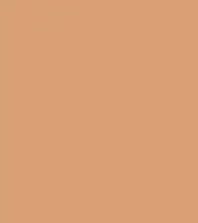 FireShot Capture 365 - #d9a075.png