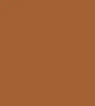 FireShot Capture 040 - #a56134.png