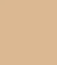 FireShot Capture 113 - #dbb890.png
