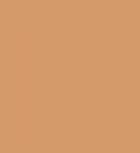 #d49a69.png