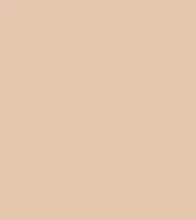 FireShot Capture 229 - #e5c7ad.png