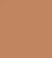 FireShot Capture 361 - #c28561.png
