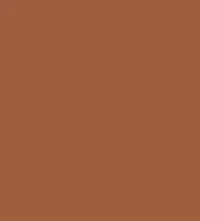FireShot Capture 090 - #9f5e3e.png