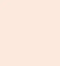 FireShot Capture 377 - #fce9dd.png