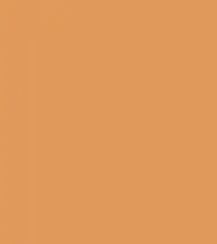 FireShot Capture 051 - #e0995b.png