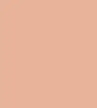 FireShot Capture 245 - #e9b39a.png