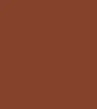 FireShot Capture 254 - #85422c.png