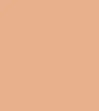 FireShot Capture 296 - #e8b08d.png