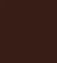 FireShot Capture 096 - #361d15.png