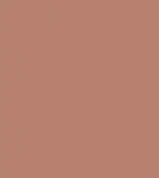 #b6806a.png