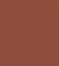 FireShot Capture 111 - #8f4e3a.png