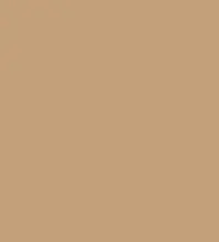 FireShot Capture 314 - #c3a17b.png