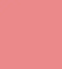 FireShot Capture 020 - #eb898a.png