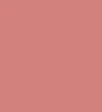 #d2817d.png
