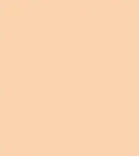 FireShot Capture 217 - #fbd3af.png