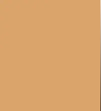 FireShot Capture 378 - #daa46b.png
