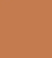 FireShot Capture 039 - #c37c50.png