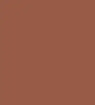 FireShot Capture 006.png