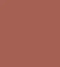 FireShot Capture 084 - #a56054.png
