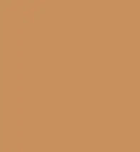 FireShot Capture 349 - #c7905c.png