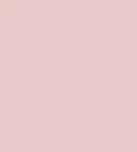 FireShot Capture 058 - #e9cac9.png