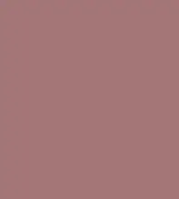 #a37577.png