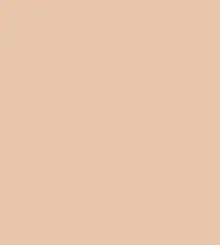 FireShot Capture 122 - #e8c6aa.png