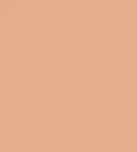 FireShot Capture 126 - #e5ad8c.png