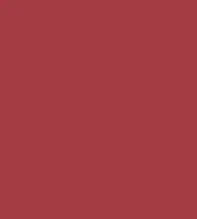 FireShot Capture 393 - #a53c44.png