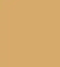 FireShot Capture 269 - #d5a96c.png