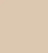 FireShot Capture 146 - #dcc6b0.png