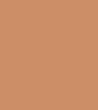 FireShot Capture 047 - #cd8e65.png