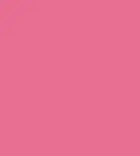 FireShot Capture 321 - #e76e93.png