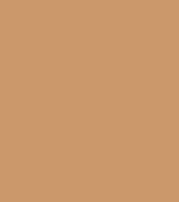 FireShot Capture 214 - #cc996c.png
