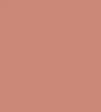 FireShot Capture 174 - #cb8778.png
