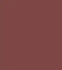 FireShot Capture 068 - #7e4744.png