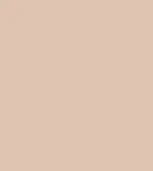 29 MEDIUM BEIGE.png