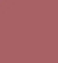 FireShot Capture 315 - #a96165.png