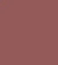 FireShot Capture 085 - #935a59.png