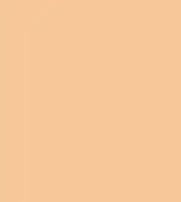 #f7c799.png