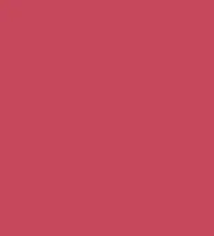 FireShot Capture 397 - #c6485c.png
