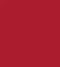FireShot Capture 133 - #a91c2e.png
