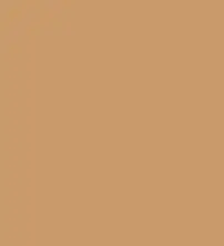 FireShot Capture 280 - #ca9a6c.png