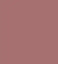 FireShot Capture 172 - #a77070.png