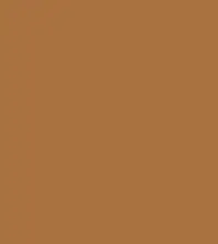 FireShot Capture 267 - #a97140.png