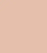 #e5bfac.png