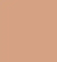 FireShot Capture 247 - #d5a184.png